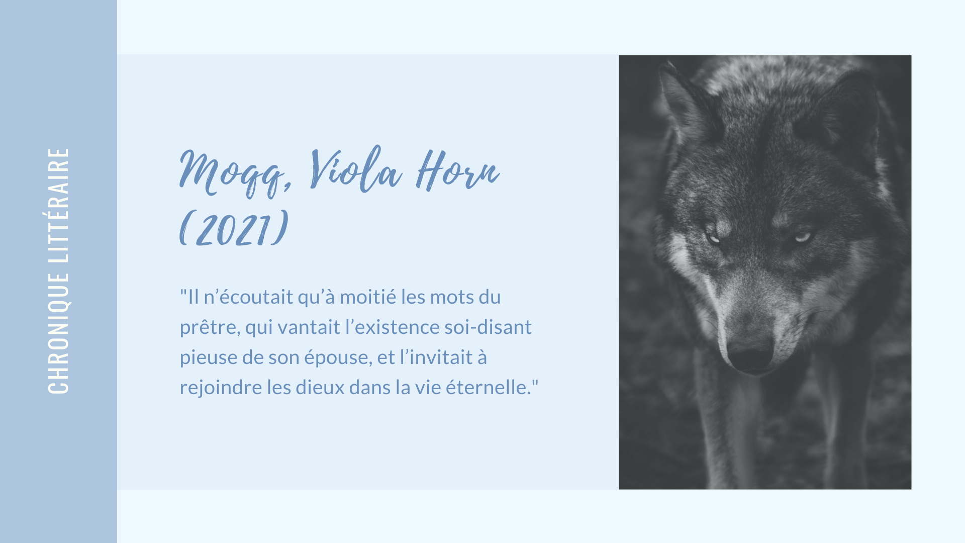 Avis Lecture · Moqq, Viola Horn (2021)